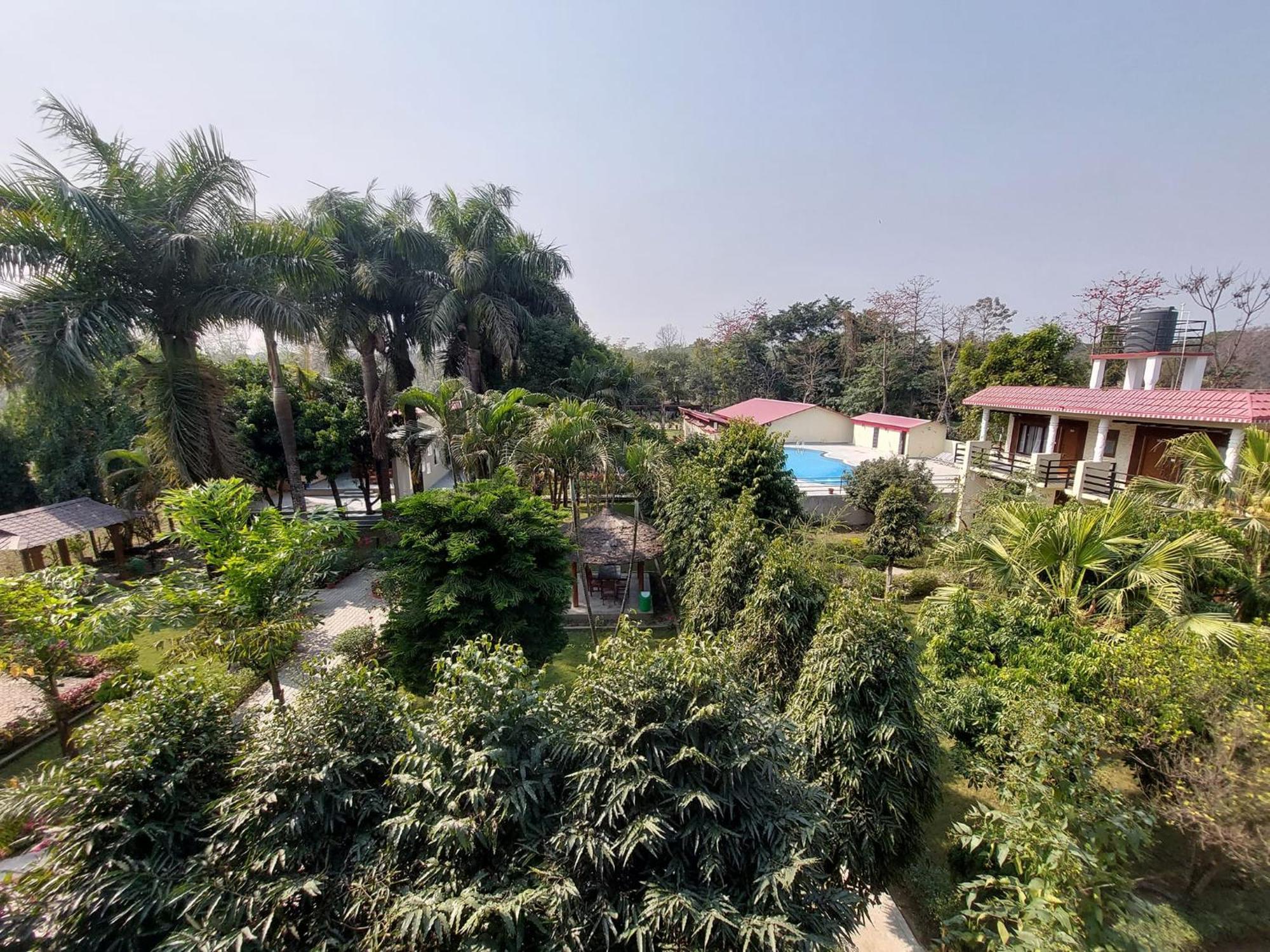 Royal Tiger Luxury Resort 4 Star 사우라하 외부 사진