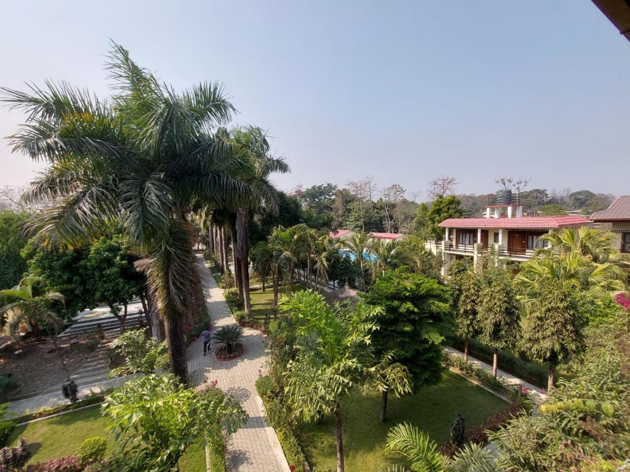 Royal Tiger Luxury Resort 4 Star 사우라하 외부 사진